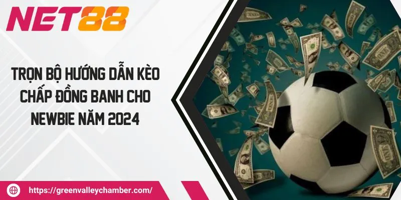 Trọn Bộ Hướng Dẫn Kèo Chấp Đồng Banh Cho Newbie Năm 2024