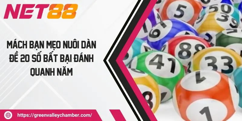 Mách Bạn Mẹo Nuôi Dàn Đề 20 Số Bất Bại Đánh Quanh Năm